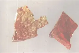 灵丹逆转热火重振士气